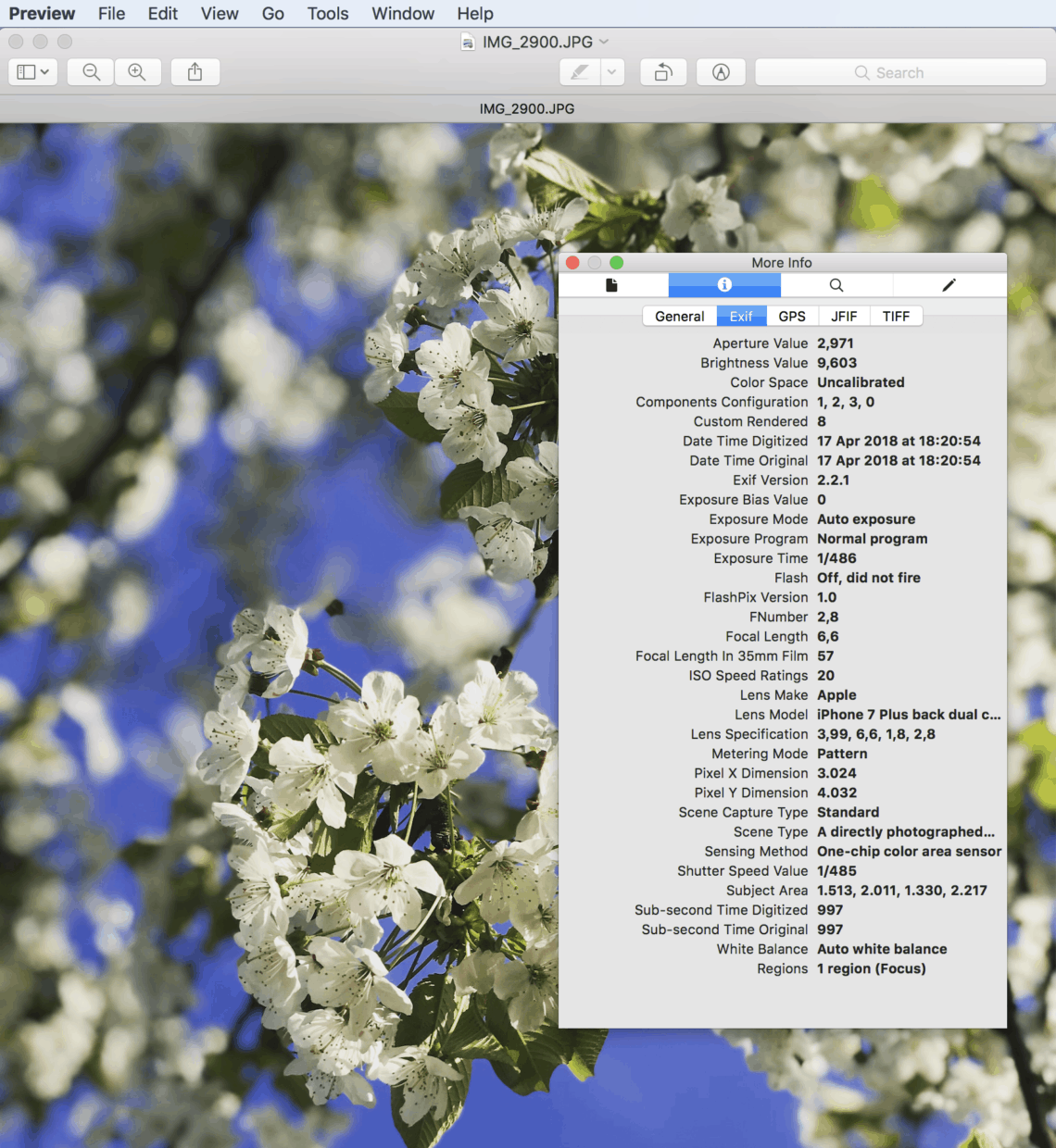 date-taken-date-created-date-modified-what-s-the-difference-a